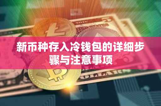 新币种存入冷钱包的详细步骤与注意事项