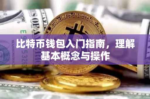比特币钱包入门指南,理解基本概念与操作