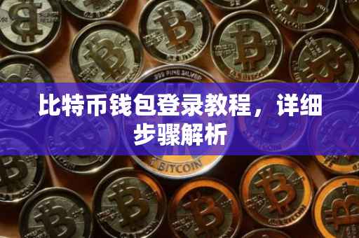 比特币钱包登录教程，详细步骤解析