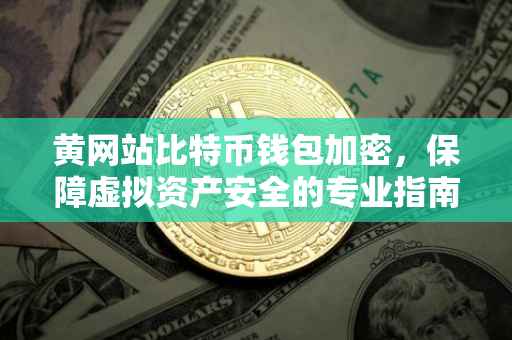 黄网站比特币钱包加密，保障虚拟资产安全的专业指南