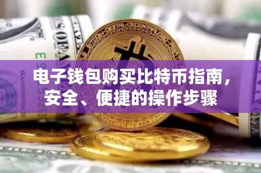 电子钱包购买比特币指南，安全、便捷的操作步骤
