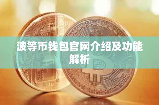 波等币钱包官网介绍及功能解析