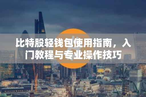 比特股轻钱包使用指南，入门教程与专业操作技巧