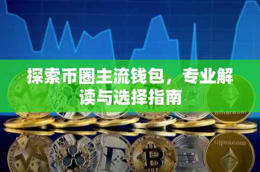 探索币圈主流钱包，专业解读与选择指南