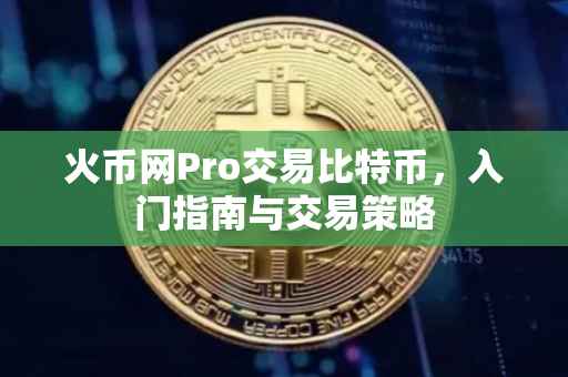 火币网Pro交易比特币，入门指南与交易策略