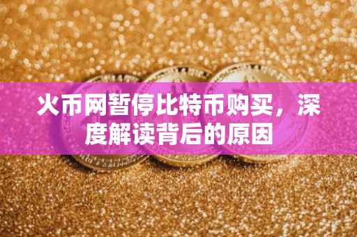 火币网暂停比特币购买，深度解读背后的原因