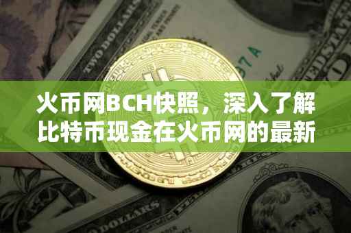 火币网BCH快照，深入了解比特币现金在火币网的最新动态